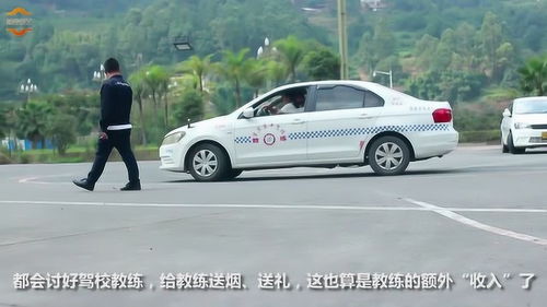 大头汽车教练工资多少